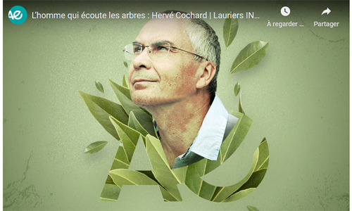 Hervé Cochard (laurier 2020)