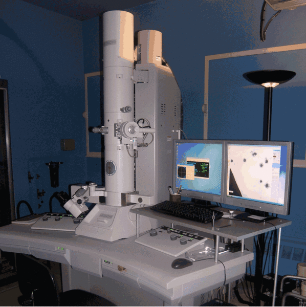 Microscope Électronique à Transmission - Centre Commun de