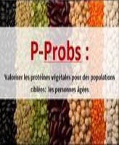 P-PROBS  